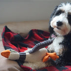 Peluche Pato con Sonido Tall Tails