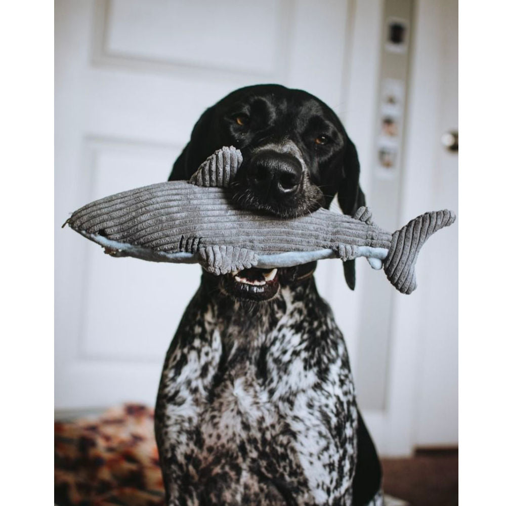 Peluche Tiburón con Sonido Tall Tails