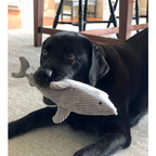 Peluche Tiburón con Sonido Tall Tails