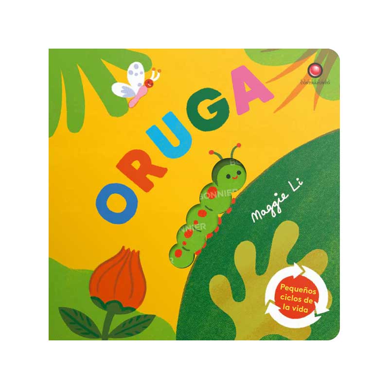 Pequeños Ciclos De La Vida Oruga