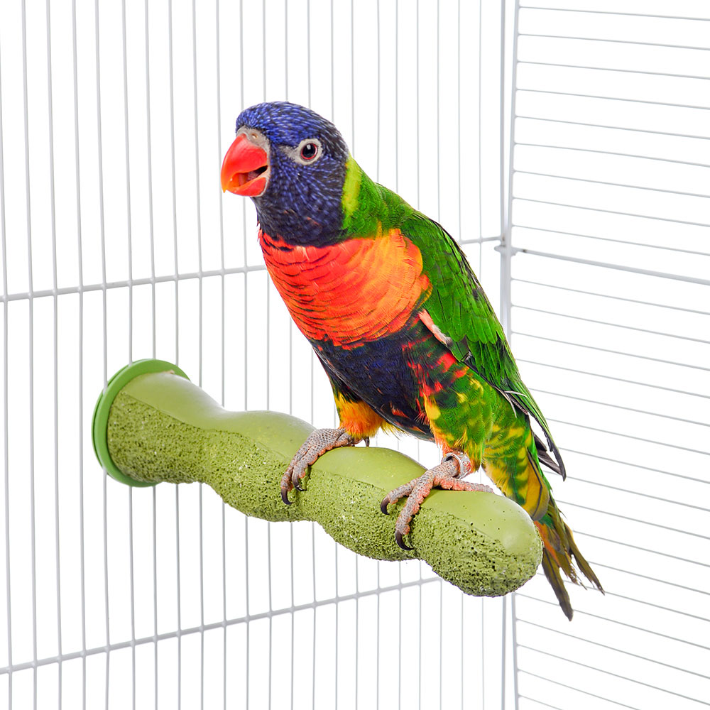 Percha de Cemento para Aves - S