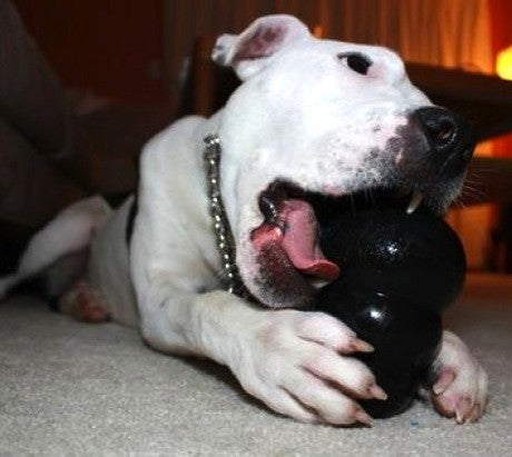 Juguete Kong Extreme - L: 13 a 30 kg