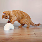 Juguete Interactivo "Escondite de Plumas" Pet Droid 