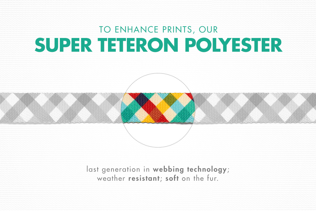 Collar para Gatos "Phantom" Zee.Cat