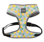 Arnés para Perros "Piña Colada" Fuzzyard - S