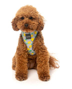 Arnés para Perros "Piña Colada" Fuzzyard