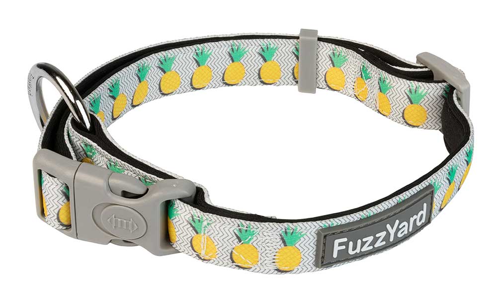 Collar para Perros "Piña Colada" Fuzzyard 