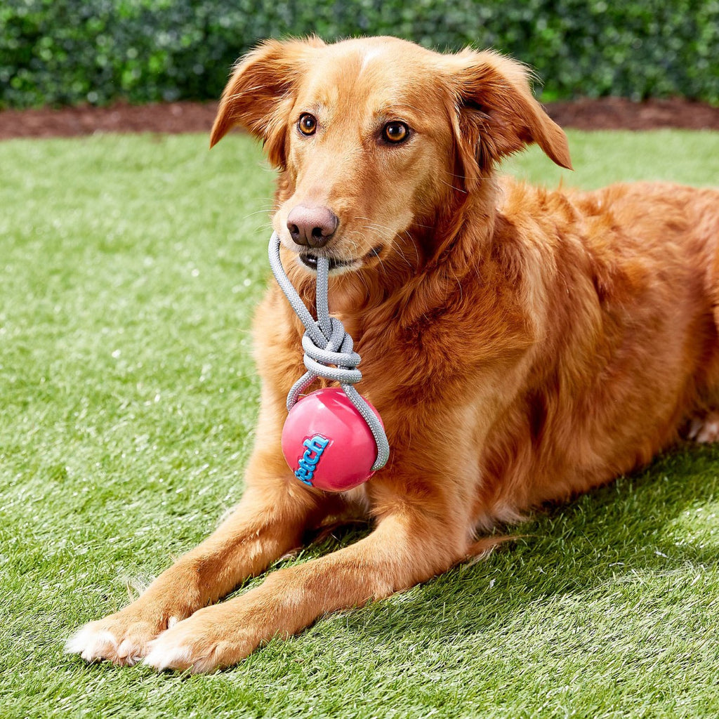 Planet Dog Fetch Ball con Cuerda - Verde