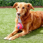 Planet Dog Fetch Ball con Cuerda - Verde