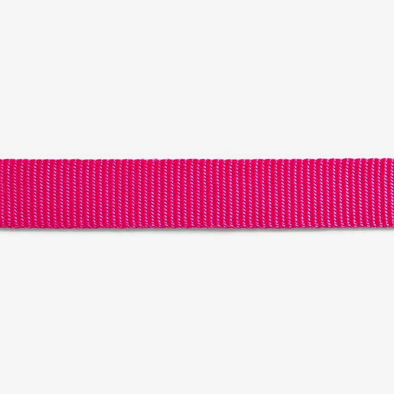 Collar para Gatos "Pink Led" Zee.Cat