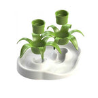 Comedero Interactivo Planta para Gatos