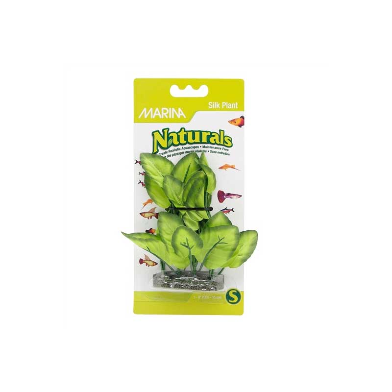 Planta de Seda Verde Marina Naturals