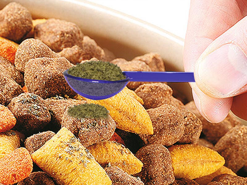 PlaqueOff Polvo Removedor de Sarro para Perros