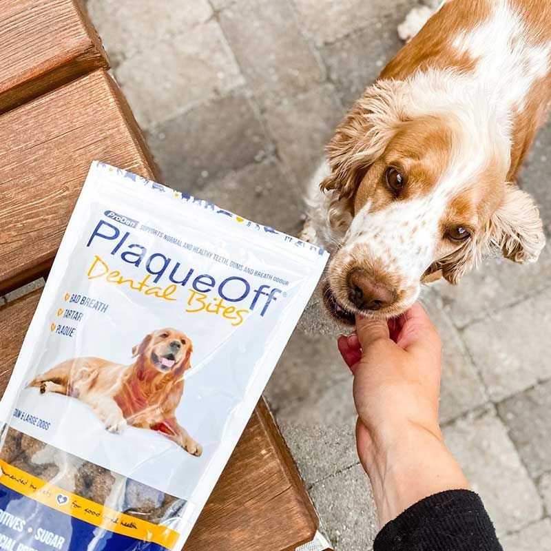 Cuidado Dental Proden PlaqueOff Bites para Perros Grandes