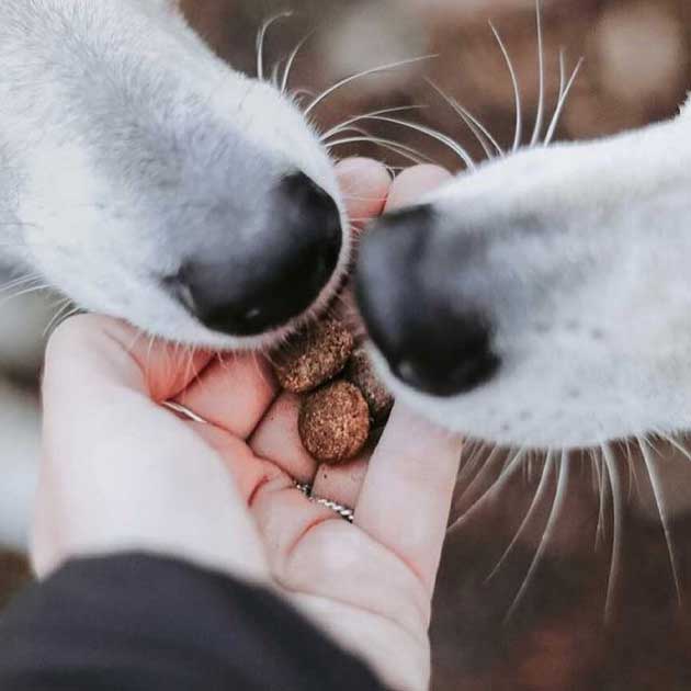 Cuidado Dental Proden PlaqueOff Bites para Perros Grandes