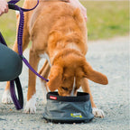 Bowl de Agua para Viaje "Drive" EzyDog - 2 Litros