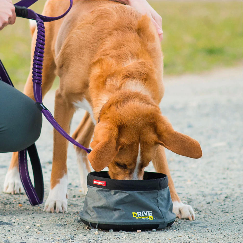 Bowl de Agua para Viaje "Drive" EzyDog - 2 Litros