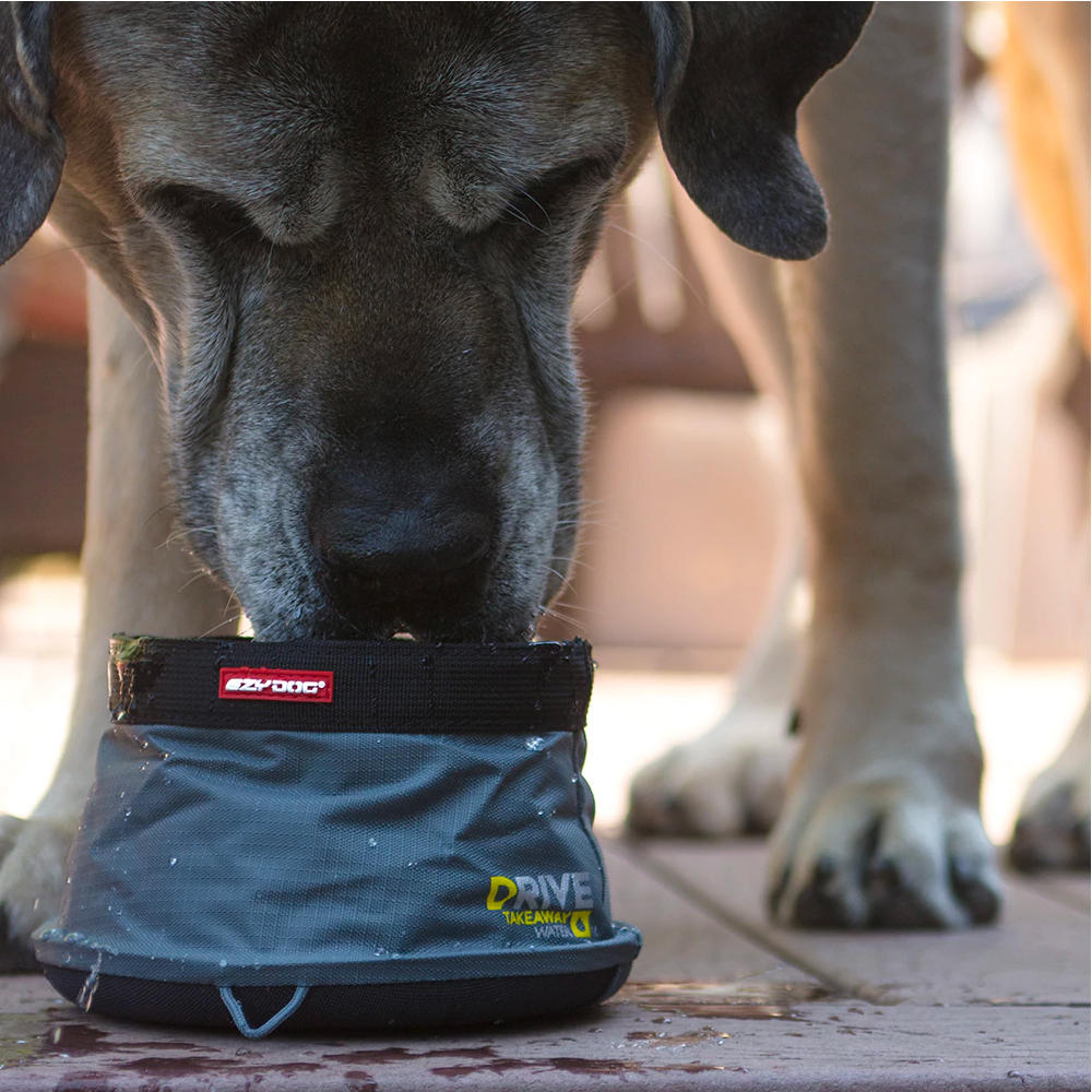 Bowl de Agua para Viaje "Drive" EzyDog
