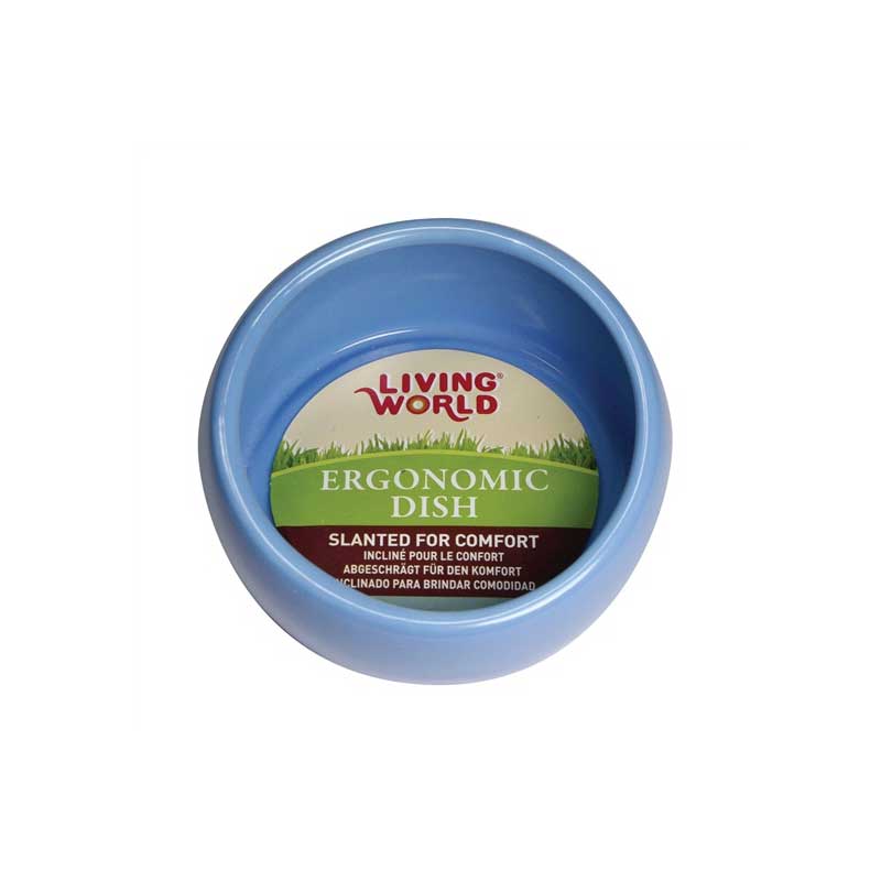 Plato Ergonómico para Pequeños Animales - Small / Verde