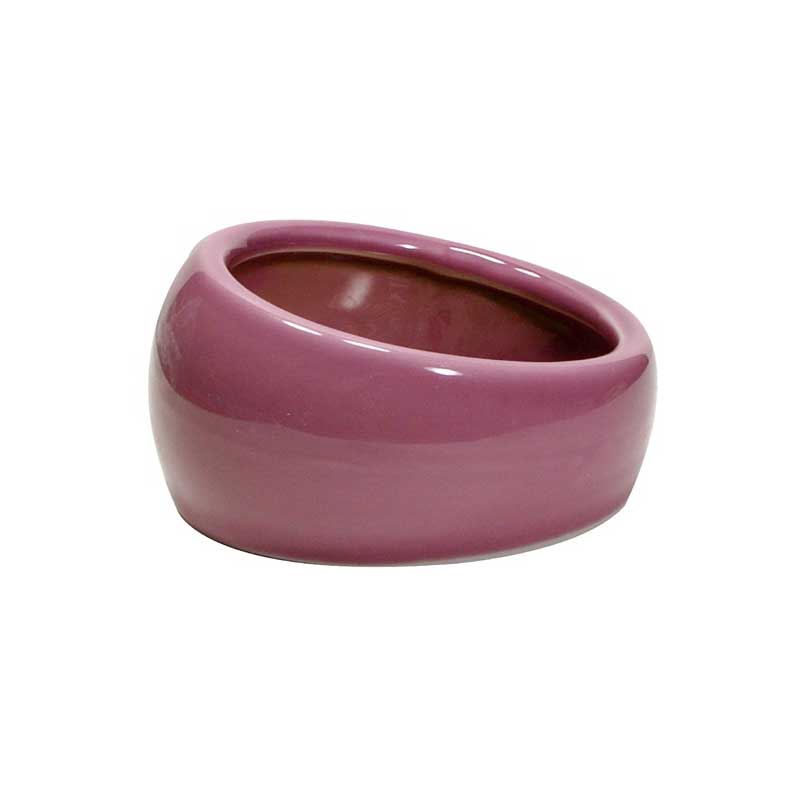 Plato Ergonómico para Pequeños Animales - Small / Terracota