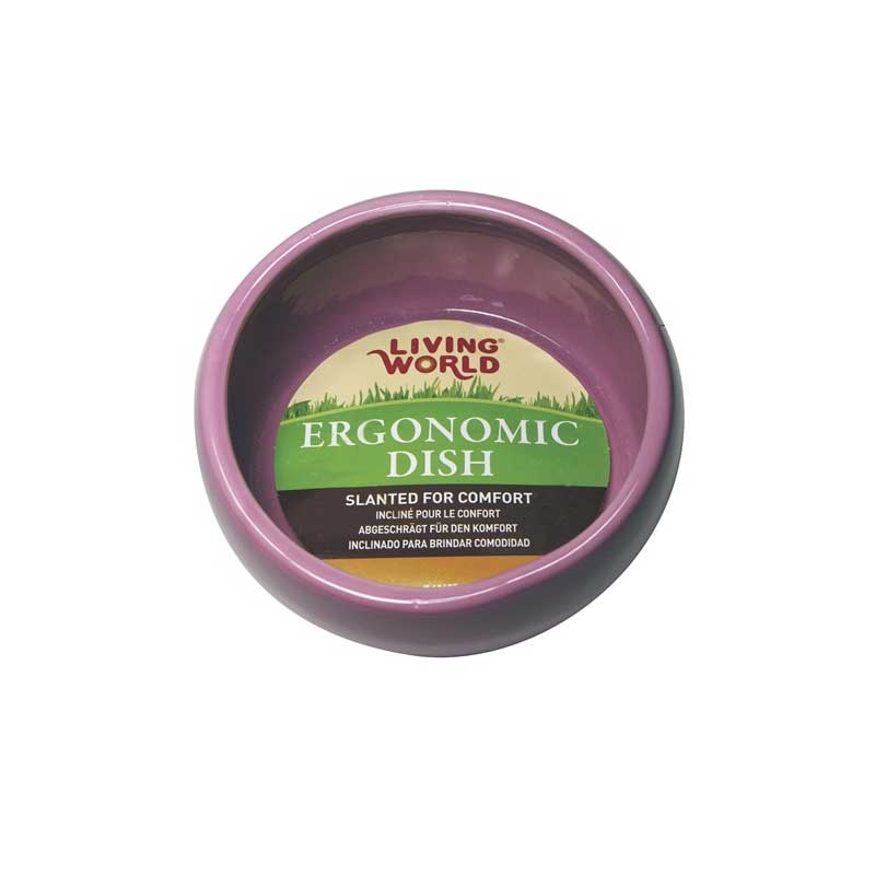 Plato Ergonómico para Pequeños Animales - Large / Azul