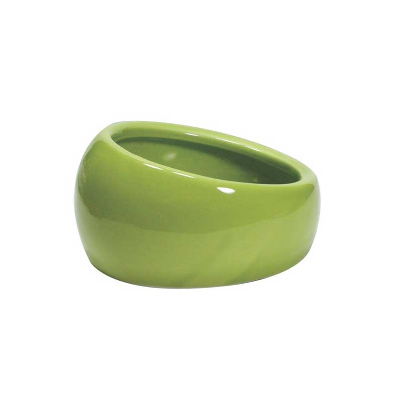 Plato Ergonómico para Pequeños Animales - Large / Verde