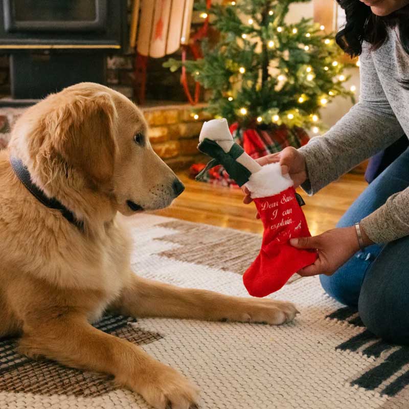 Play Juguete Merry Woofmas Calcetín de Navidad