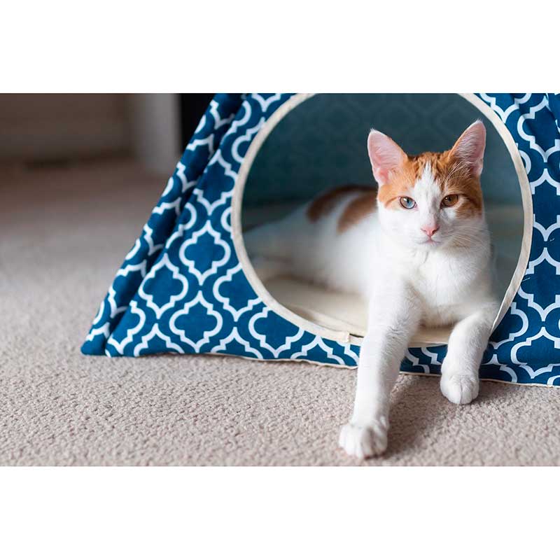 Play Carpa Teepee Classic para Mascotas