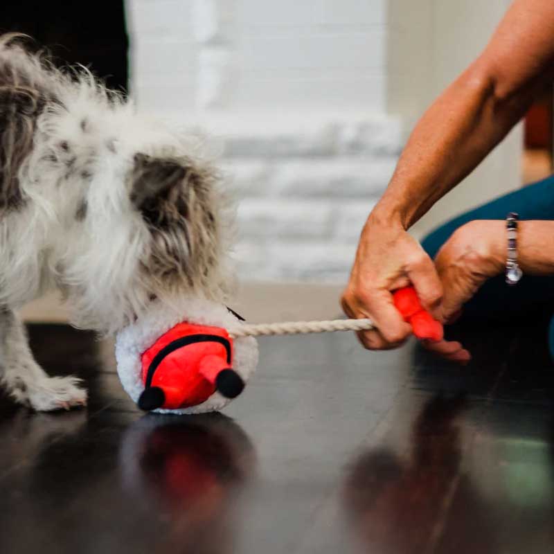 Play Juguete Merry Woofmas Clumsy Claus