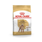 Royal Canin Poodle Adulto