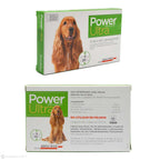 Antiparasitario Pipeta POWER ULTRA para Perros
