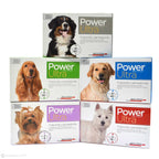 Antiparasitario Pipeta POWER ULTRA para Perros - 21 a 40 Kg