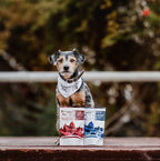 Patagon Raw Snack Carne de Vacuno para Perros