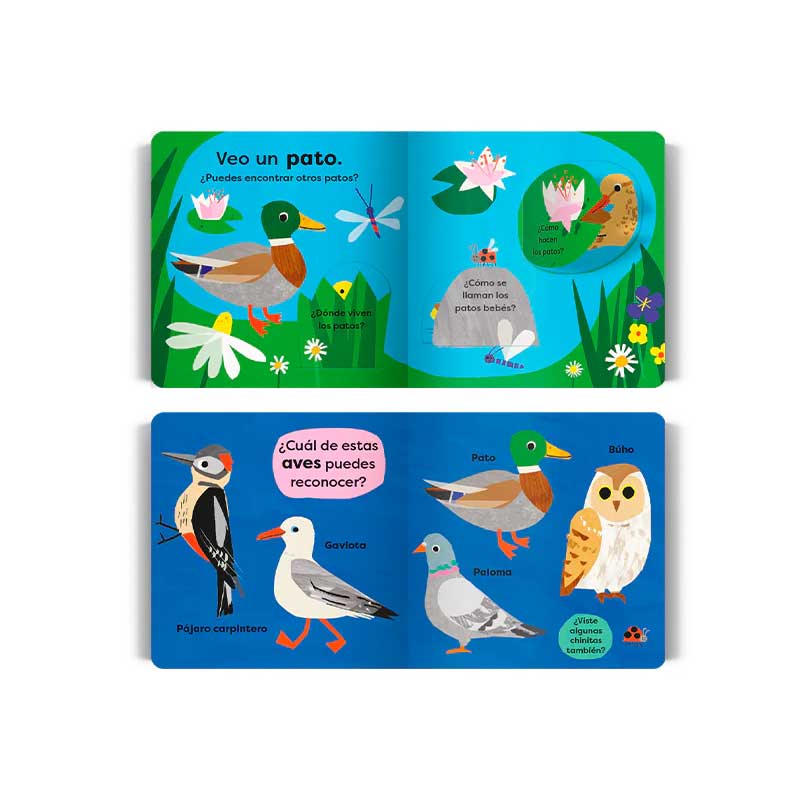 Mi Primera Guía Visual Veo Un Pato