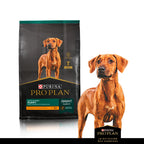 Pro Plan para Cachorros Razas Grandes