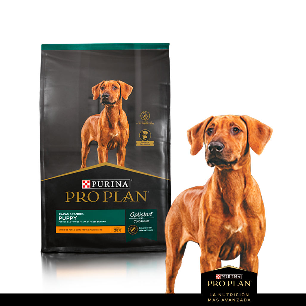 Pro Plan para Cachorros Razas Grandes