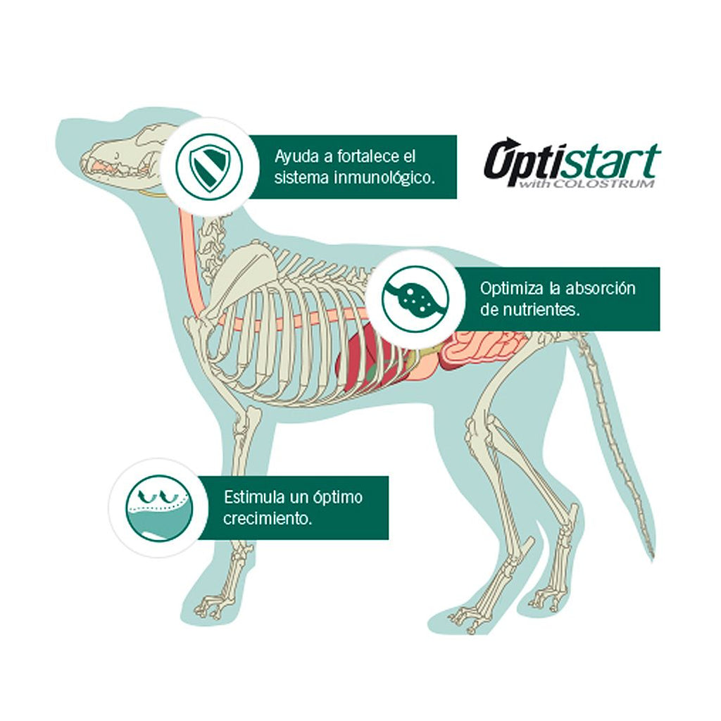 Pro Plan para Cachorros Razas Grandes