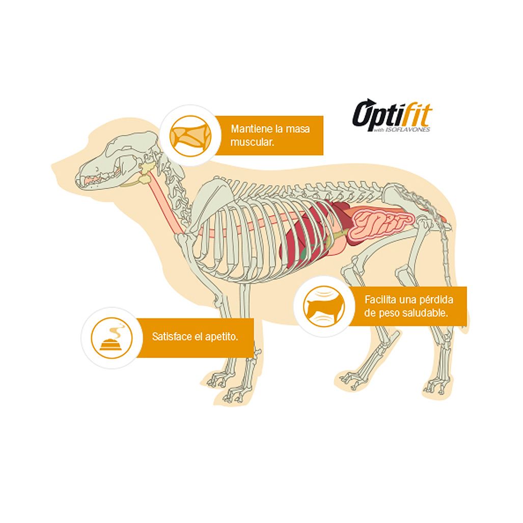 Pro Plan Reducido en Calorías para Razas Pequeñas