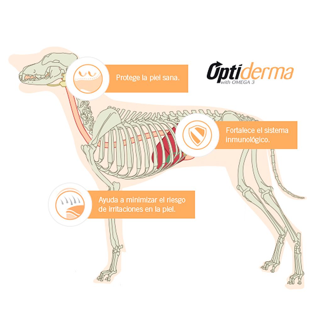 Pro Plan Sensitive Skin Adult Razas Medianas y Grandes - 12 Kg