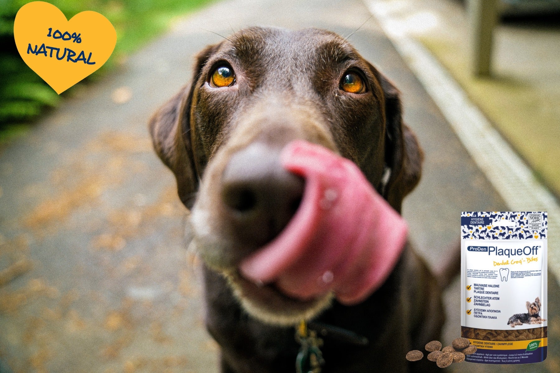 Cuidado Dental Proden PlaqueOff® Croq´ Bites Para Perros Pequeños