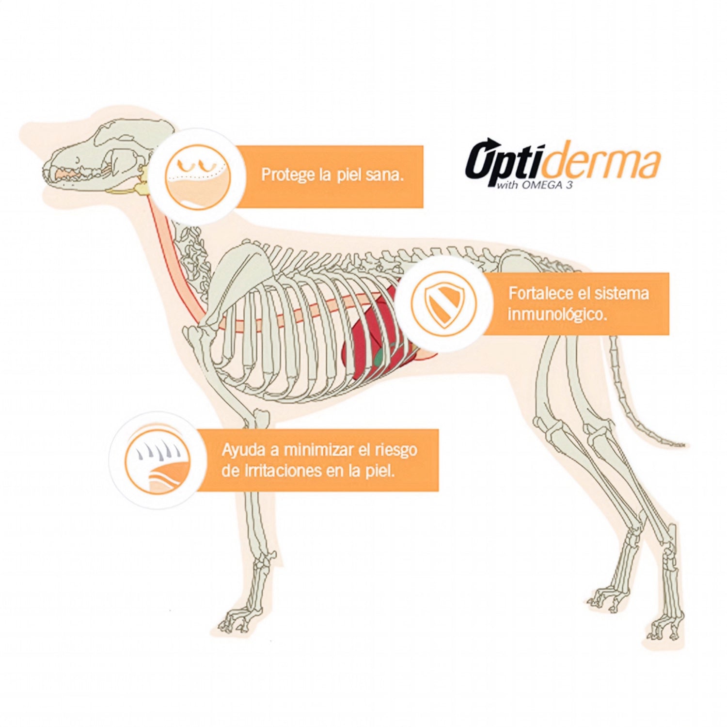 Pro Plan Sensitive Skin Adult Razas Medianas y Grandes, alimento para perros adultos con imagen de perro y fórmula para piel sensible.