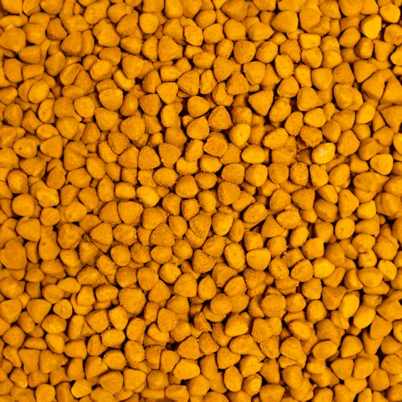 Psittacus Alimento Fórmula Alta Proteína