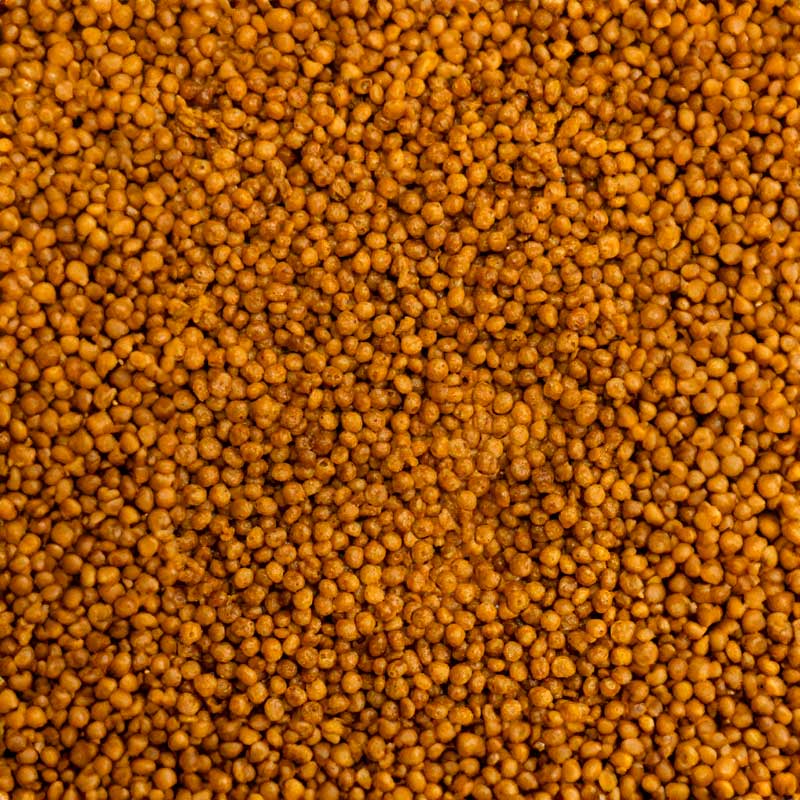 Psittacus Wet & Dry Microspheres 20/10