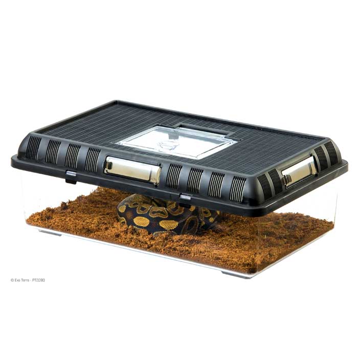 Terrario Apilable para Crías Exo Terra - Medium