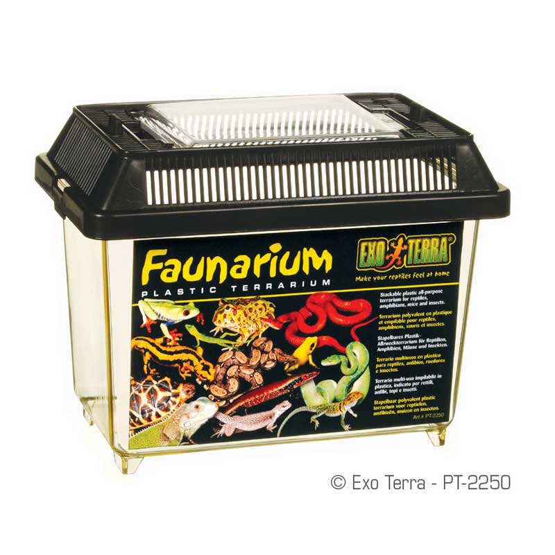 Faunarium Terrario de Plástico Exo Terra