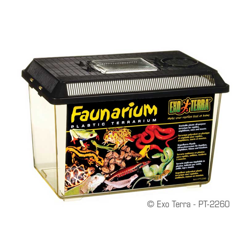 Faunarium Terrario de Plástico Exo Terra - Medium