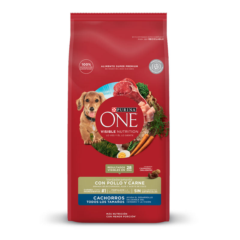 Purina One Pollo y Carne para Cachorros - 6 Kg