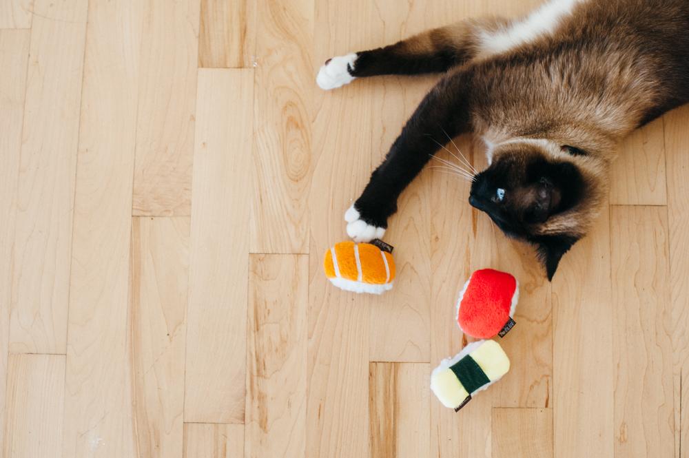 Play Juguete Frenzy Food Sassy Sushi para Gatos