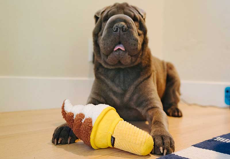 Play Juguete Snack Attack para Perros