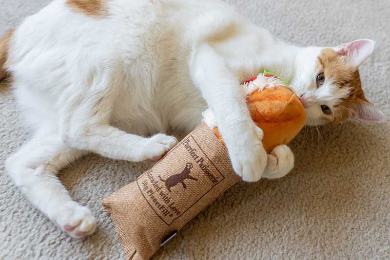 Play Juguete Kicker Tuna Baguette para Gatos